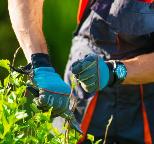 jardinier paysagiste, espaces verts