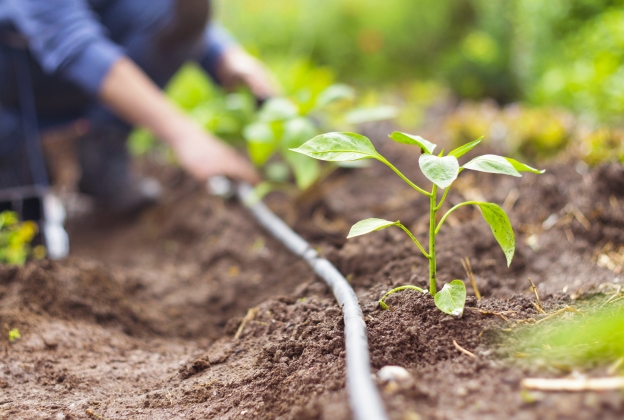 Installation d'arrosage automatique